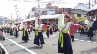 祭屋～Saiya～　高知よさこい2017升形1日目