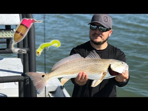 EASY LIMIT of Redfish on my GO TO Lure EASY LIMIT of Redfish on my GO TO Lure