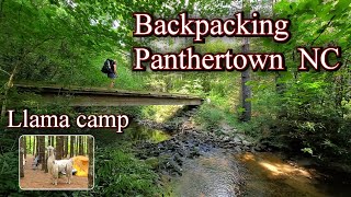 Backpacking Panthertown NC - Llama Camp - Waterfalls