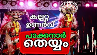 പാക്കനാരുടെ വട്ടമുടിയാട്ടം | Pakkanar Vattamudi Theyyam | Pakkanar Theyyam