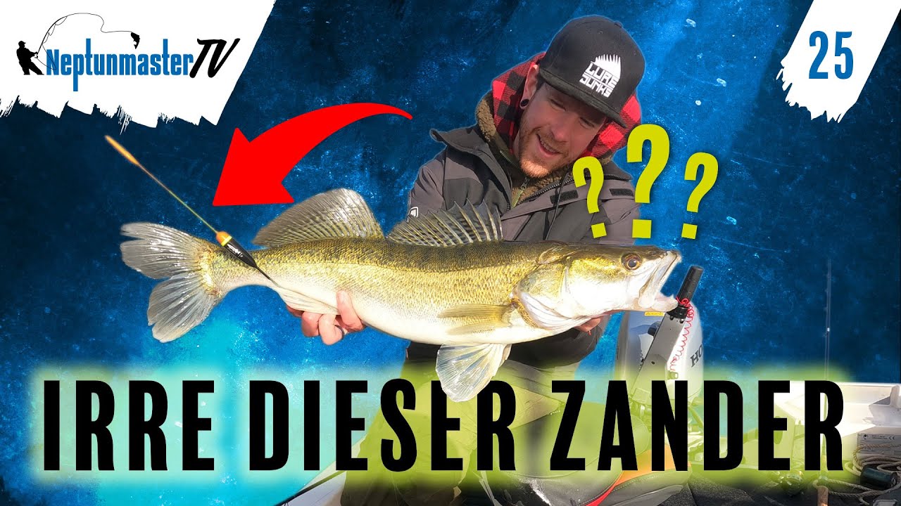 Angeln Auf Zander Mit Köderfisch - Irre! Er Frisst Zwei Köder Auf ...