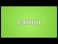 carton meaning