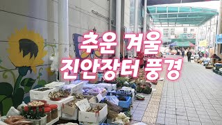 진안고원 전통시장 장날풍경/겨울배추/달래/냉이/개미나리