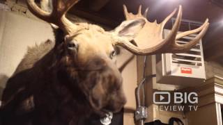 The Evolution Store in New York NY offering Artifacts, Collectibles and Gifts