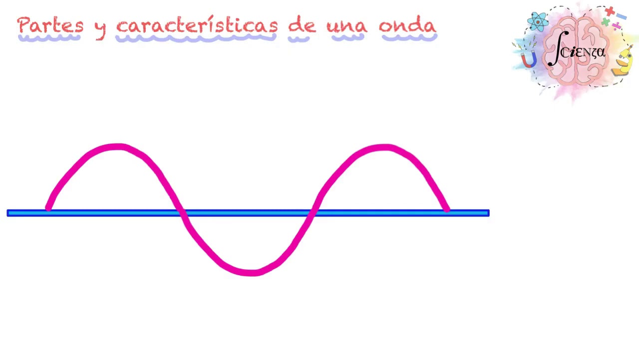 Partes De Una Onda Y Sus Características - YouTube