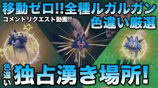 【移動なし!!たそがれ色厳選】ルガルガン編!!【ポケモンSV/スカーレット・バイオレット】