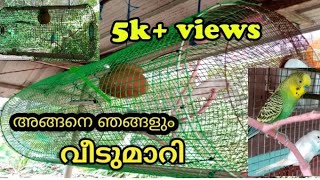 കുറഞ്ഞ ചിലവിൽ സിംപിൾ ആയി എങ്ങനെ ലൗ ബേർഡ്‌സ് കൂട് ഉണ്ടാക്കാം / Aliza media