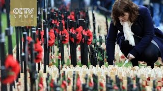 Armistice Day 2016: Millions in the UK observe moment of silence for fallen soldiers