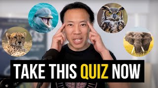 Discover Your Brain Type | Are you a Cheetah, Owl, Dolphin, or Elephant?