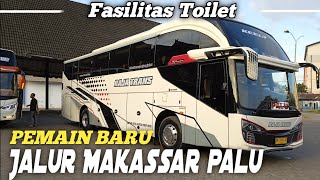 PEMAIN BARU !  Lintas Makassar - Palu dengan Fasilitas Toilet || RAJA TRANS