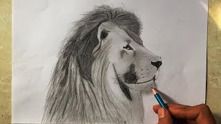 Playtube Pk Ultimate Video Sharing Website