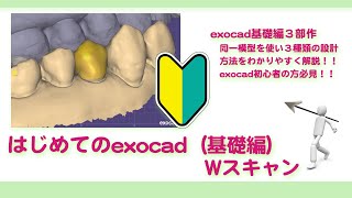 【exocad】はじめてのexocad（基礎編）Wスキャン【歯科技工士】