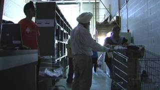 Seva Food Bank Introduction