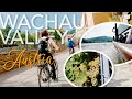 Discover Wachau Valley, Austria