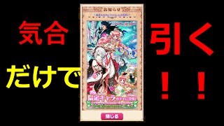 【白猫プロジェクト】フラワーオブグレイス限定ガチャ！渾身の22連！