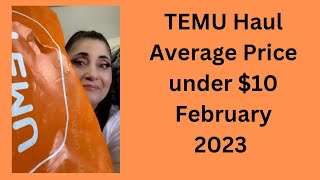 TEMU Haul - Average Price under $10