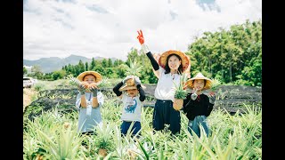 113年家政影響力  |  幸福好滋味