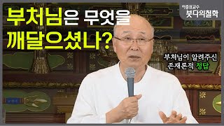 깨달음을 통해 행복한 세계로 나아가는 길 | 이중표 교수 붓다의 철학 2