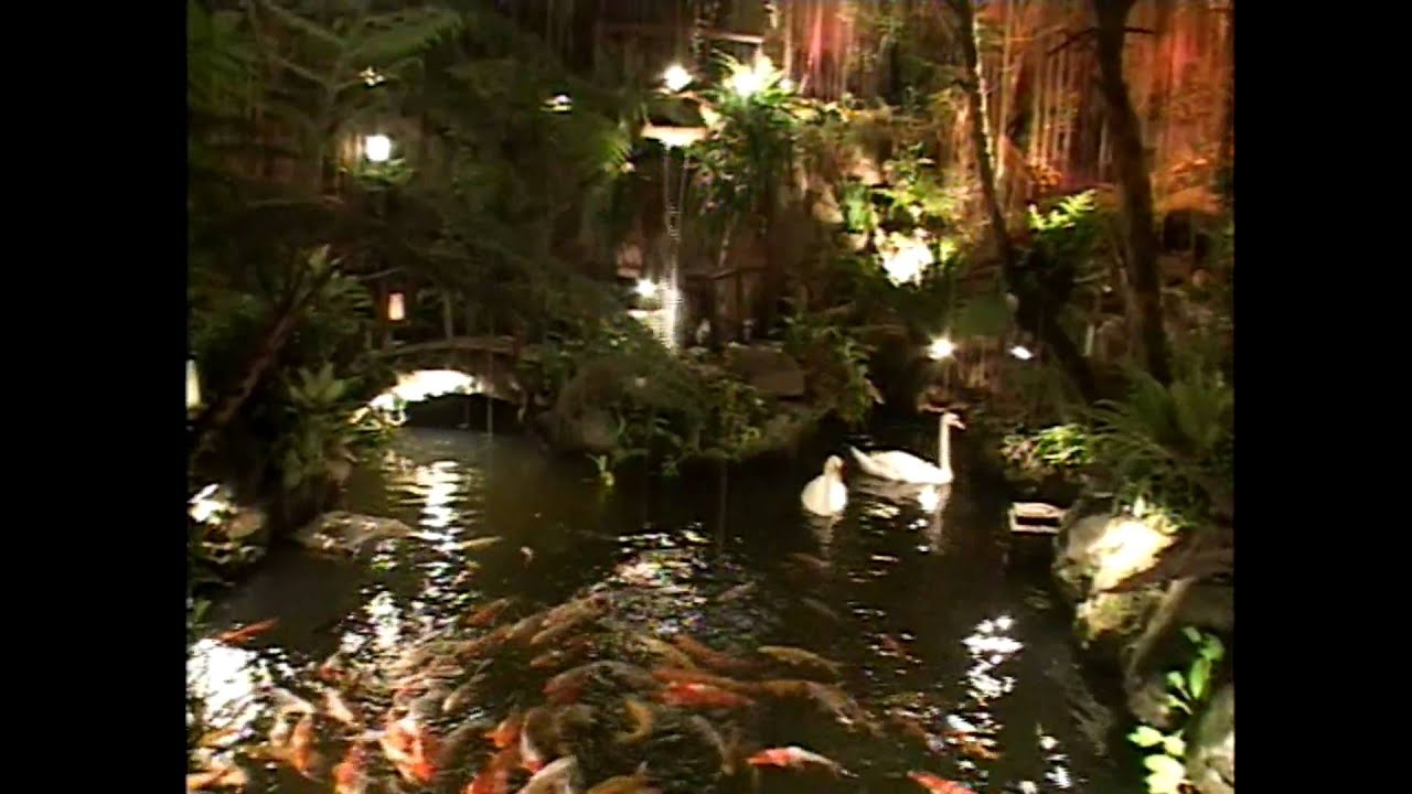 Fernwood Gardens Feature Youtube