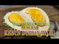 FIRST TIME VISITING DURIAN FARM IN BESERAH PAHANG🇲🇾