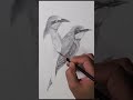 Bird Shading on Piku Theme Music #shorts #sketchbookbyabhishek #viral #trendingshorts #trending