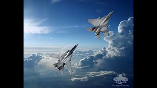 Dogfighting with the F-18, Then the F-15 V.S. F-14