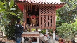 พิธีเซ็นไหว้พระครูปะกำช้าง