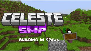 *Building on Celeste SMP*