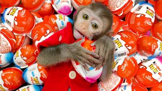 Monkey Baby Bim Bim and puppy open Yummy Kinder Surprise Egg contain toys and chocolate