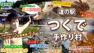 【道の駅】つくで手作り村　ご家族・お子様連れにおすすめ！！ミニ動物園・ニジマスのつかみ取り、つくで高原トマトの『ハヤシライス』『トマトソフトクリーム』を堪能　Sightseeing in Aichi.