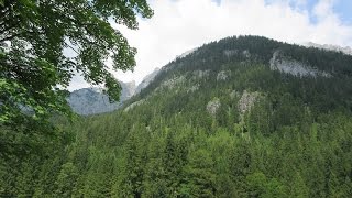 Hintersee and Halsalm Hike 07/17/2014 0017