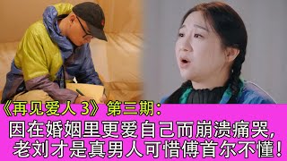 《再見愛人3》第三期：因在婚姻裏更愛自己而崩潰痛哭，老劉才是真男人可惜傅首爾不懂！