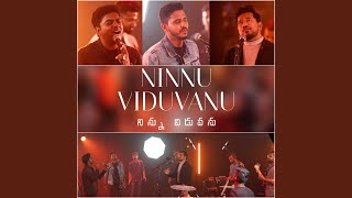 Ninnu Viduvanu