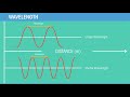 Wave motion with examples, and distinguish between mechanical and electromagnetic waves| Grade 10|