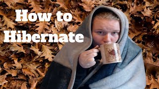 How to Hibernate