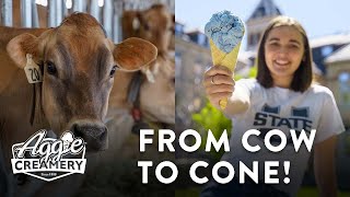 100 Years of Cow to Cone - Utah State University's Aggie Ice Cream