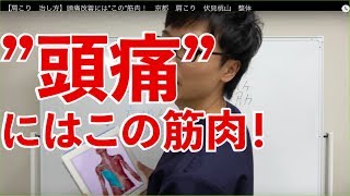 【肩こり　治し方】頭痛改善には”この”筋肉！　京都　肩こり　伏見桃山　整体