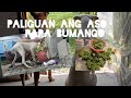 naligo si puti+ nag harvest na kami ng unas super dami#please#subscriberstomychannel#ate elmaV.