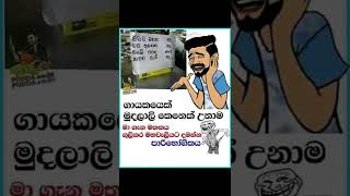 මා ගැන මතකය ගුලි කර මහවැලියට දමන්න 😂