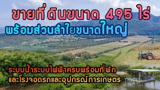 ขายที่ดิน ขนาด 495 ไร่ สวนลำใยโตพร้อมเก็บ 280 ไร่