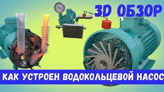 Как устроен водокольцевой вакуумный насос - 3D анимация