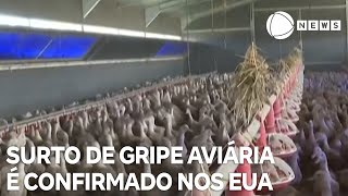 Surto de gripe aviária é confirmado nos Estados Unidos