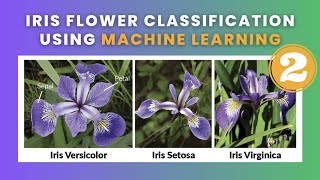 Iris Flower Classification - Part 2 | Data Science | Machine Learning | Python | 2023