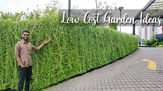 പച്ചപ്പ്‌ നിറച്ചു Kochi Marriott Hotel || low cost garden design|curtain creeper designing ideas