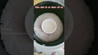 Cách nấu cháo 1:10 và ngày đầu tiên ăn dặm của bé 5m+ #mevabe #landaulamme #andamkieunhat #blw
