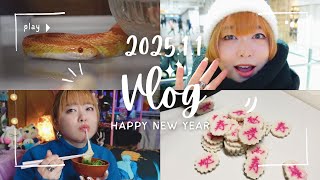 【Vlog】2025年 初詣 お雑煮作り ペットの世話 ⛩️高幡不動尊