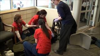 Disaster and Triage Drill