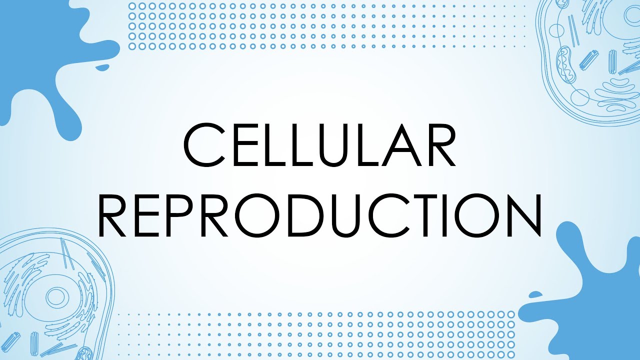 Grade-10 (Biology) Cellular Reproduction - YouTube