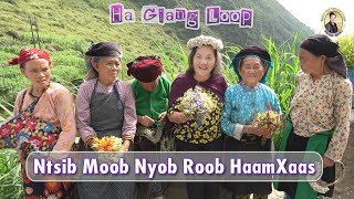 Ntsib Moob Nyob Roob HaamXaas | Nruag Hawj