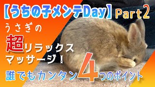 【うちの子メンテDay】Part２ うさぎがトロトロ！超リラックスマッサージ４つのポイント大公開！！これであなたもゴッドハンド間違いなし